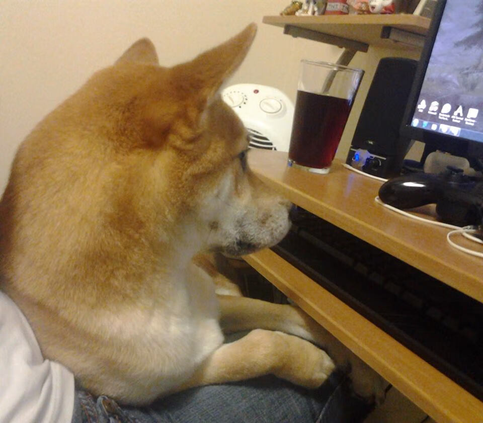 开云网页版-意甲尘埃落定：尤文在补时2-1险胜拉齐奥，榜首之争持续升温，尤文提前2轮意甲夺冠